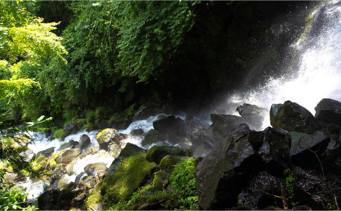「白糸エリア1」滝・湖・白糸の里 癒しの自然コース